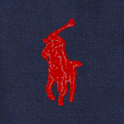 Cruise Navy