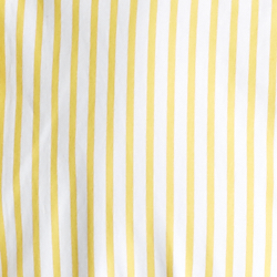 Stripe Fun Shirt