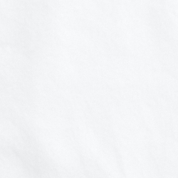 화이트