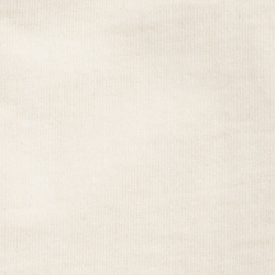 Nautilus White