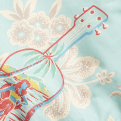 Turquoise Print