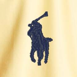 Corn Yellow