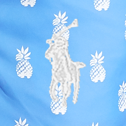 Bathsheba Pineapples