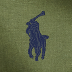 Supply Olive