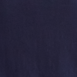 Cruise Navy