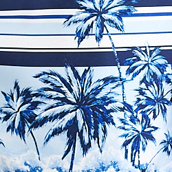 Poolside Scenic Stripes