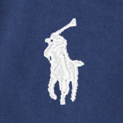 Cruise Navy