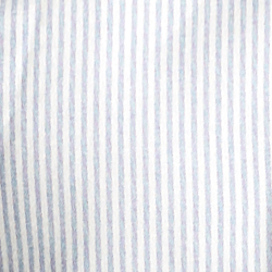 Blue/White