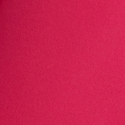Bright Fuchsia