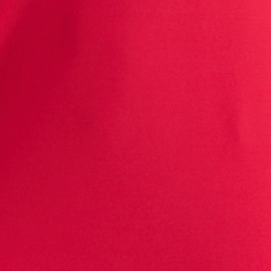 Berry Sorbet