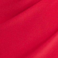 Berry Sorbet