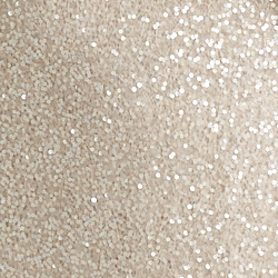 Sparkling Champagne