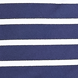French Navy