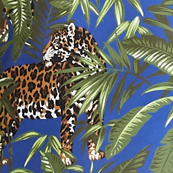 Jaguar Hawaiian