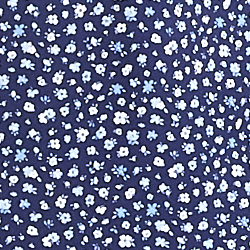Navy Monterey Floral