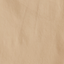 Birch Tan