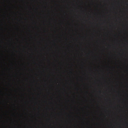 Polo Black