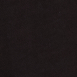 Polo Black