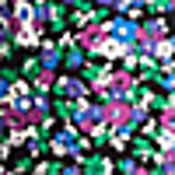 Polo Black Multi