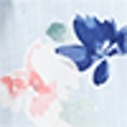 Blu Stp/Fl