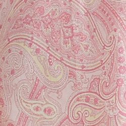 Multi Paisley