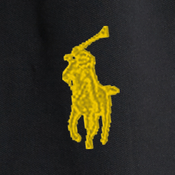 Polo Black Multi