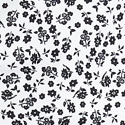 White/Black Daisy