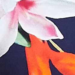 Watercolor Tropical