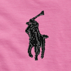 Resort Rose