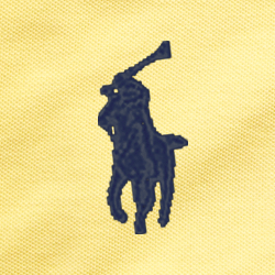 Oasis Yellow