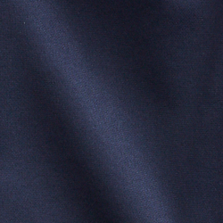 Cruise Navy