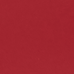 Sporting Red/White