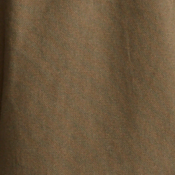 Canopy Olive
