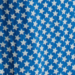 Mini Blue Star Print
