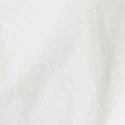 Ceramic White/Polo Black