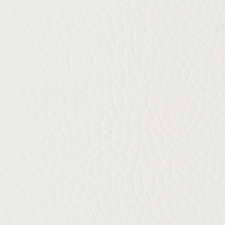 Vanilla