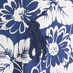 Blue/White Flower