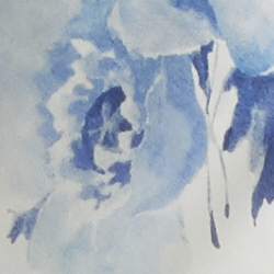 Painted Blossom