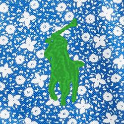 Blue/White Floral