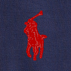 Cruise Navy