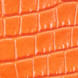 Sailing Orange