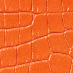 Sailing Orange