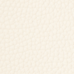 Vanilla