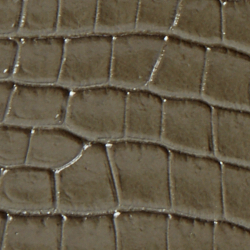 Deep Olive