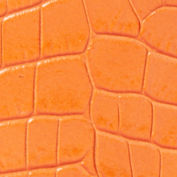 Sailing Orange
