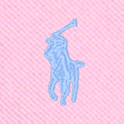 Carmel-Rosa