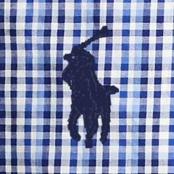 Jeffereson Plaid