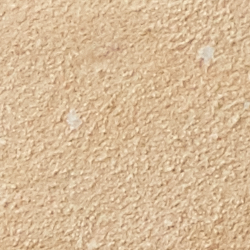 Bone/Western Print