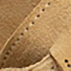 Bone