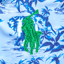 Blue Elephant Print